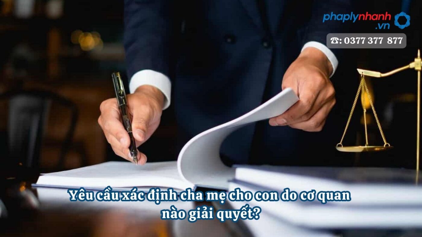 Yêu cầu xác định cha mẹ cho con do cơ quan nào giải quyết? 4 Yêu cầu xác định cha mẹ cho con do cơ quan nào giải quyết - Tư vấn, hỗ trợ pháp lý nhanh