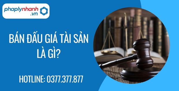 bán đấu giá tài sản là gì - Tư vấn hỗ trợ phaplynhanh