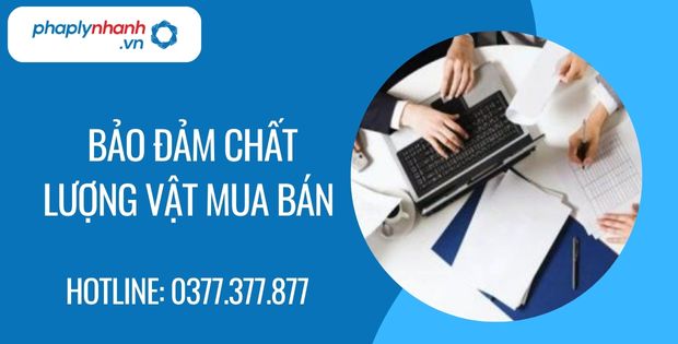 bảo đảm chất lượng vật mua bán - Tư vấn hỗ trợ phaplynhanh