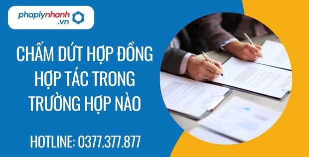 Chấm dứt hợp đồng hợp tác trong trường hợp nào? 3 chấm dứt hợp đồng hợp tác trong trường hợp nào - Tư vấn hỗ trợ phaplynhanh