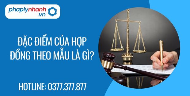 Đặc điểm của hợp đồng theo mẫu là gì? 1 đặc điểm của hợp đồng theo mẫu là gì - Tư vấn hỗ trợ phaplynhanh
