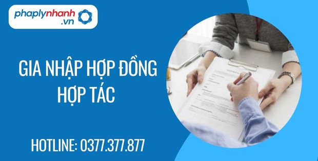 Gia nhập hợp đồng hợp tác là gì? 4 gia nhập hợp đồng hợp tác - Tư vấn hỗ trợ phaplynhanh