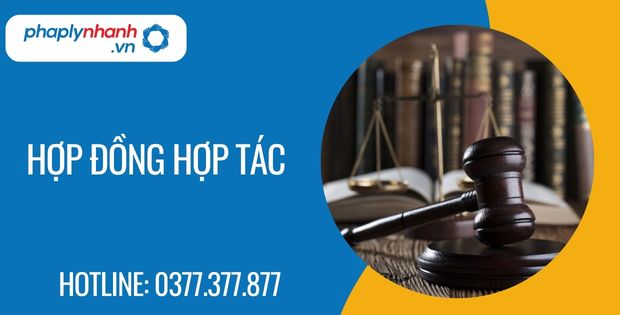 hợp đồng hợp tác - Tư vấn hỗ trợ phaplynhanh