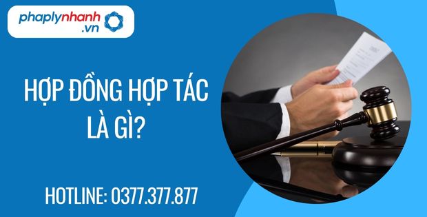 hợp đồng hợp tác là gì - Tư vấn hỗ trợ phaplynhanh