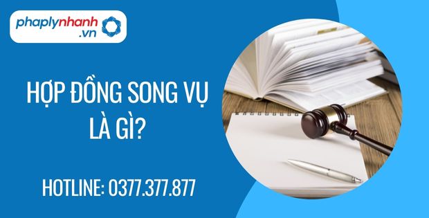 Hợp đồng song vụ là gì? 7 hợp đồng song vụ là gì - Tư vấn hỗ trợ phaplynhanh