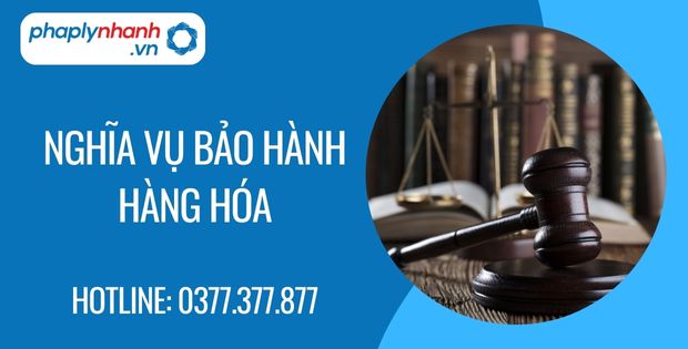 Nghĩa vụ bảo hành hàng hóa trong hợp đồng 1 nghĩa vụ bảo hành hàng hóa - Tư vấn hỗ trợ phaplynhanh