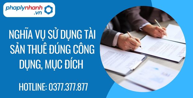 nghĩa vụ sử dụng tài sản thuê đúng công dụng, mục đích - Tư vấn hỗ trợ phaplynhanh