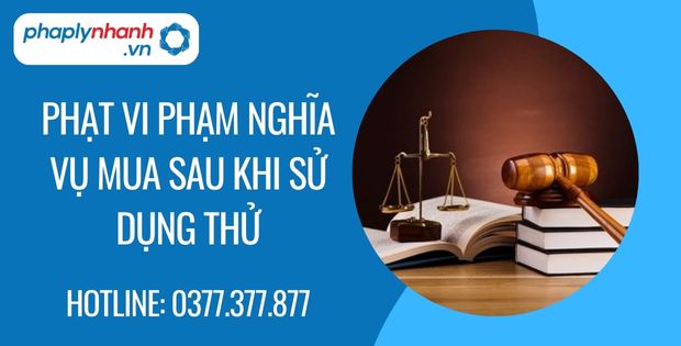 Phạt vi phạm nghĩa vụ mua sau khi sử dụng thử 1 phạt vi phạm nghĩa vụ mua sau khi sử dụng thử - Tư vấn hỗ trợ phaplynhanh