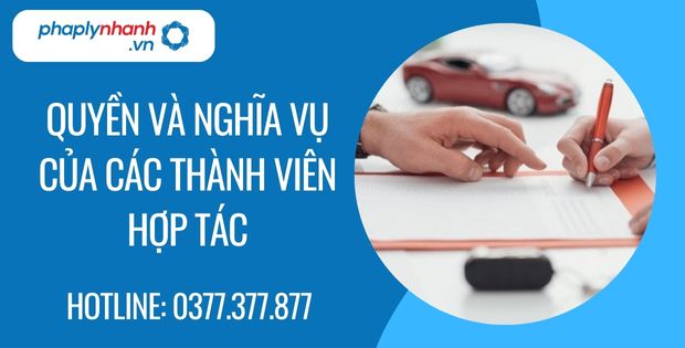 Các thành viên hợp tác có quyền và nghĩa vụ như thế nào? 8 quyền và nghĩa vụ của các thành viên hợp tác - Tư vấn hỗ trợ phaplynhanh