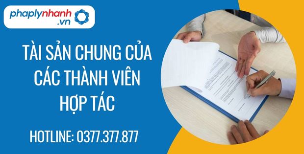 Tài sản chung của các thành viên hợp tác trong hợp đồng hợp tác 9 tài sản chung của các thành viên hợp tác - Tư vấn hỗ trợ phaplynhanh