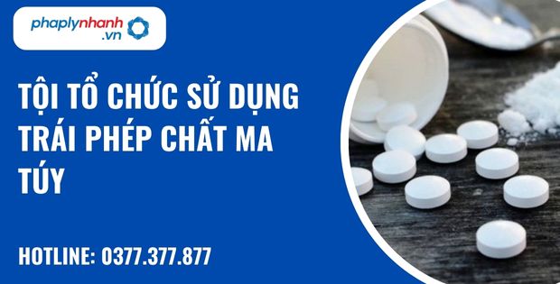Sử dụng trái phép chất ma túy là gì? Tội tổ chức sử dụng trái phép chất ma túy được quy định như thế nào? 1 tội tổ chức sử dụng trái phép chất ma túy - hỗ trợ, tư vấn pháp lý nhanh