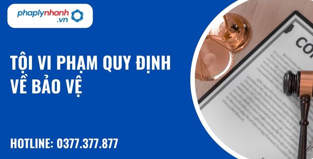 Tội vi phạm quy định về bảo vệ như thế nào? 28 tội vi phạm quy định về bảo vệ - hỗ trợ, tư vấn pháp lý nhanh