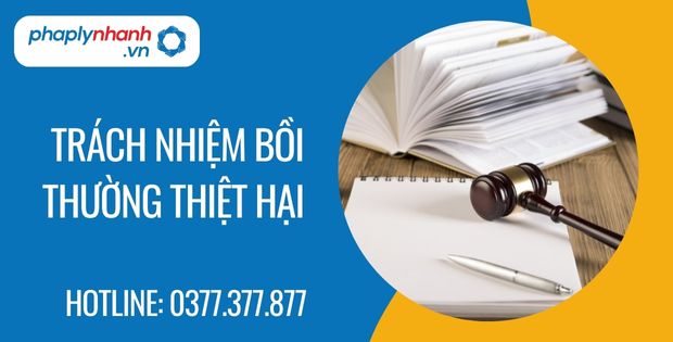 Trách nhiệm bồi thường thiệt hại trong hợp đồng vận chuyển hành khách 1 trách nhiệm bồi thường thiệt hại - Tư vấn hỗ trợ phaplynhanh