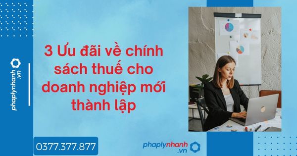 3 Ưu đãi về chính sách thuế cho doanh nghiệp mới thành lập 1 3 Ưu đãi về chính sách thuế cho doanh nghiệp mới thành lập - tư vấn hỗ trợ pháp lý nhanh