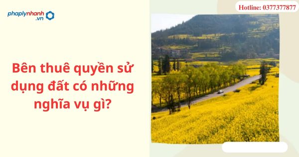 Bên thuê quyền sử dụng đất có những nghĩa vụ gì? 1 Bên thuê quyền sử dụng đất có những nghĩa vụ gì?