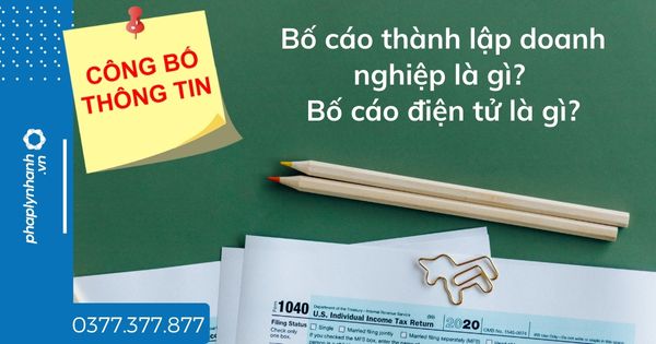 Bố cáo thành lập doanh nghiệp là gì? Bố cáo điện tử là gì? 1 Bố cáo thành lập doanh nghiệp là gì Bố cáo điện tử là gì - tư vấn hỗ trợ pháp lý nhanh