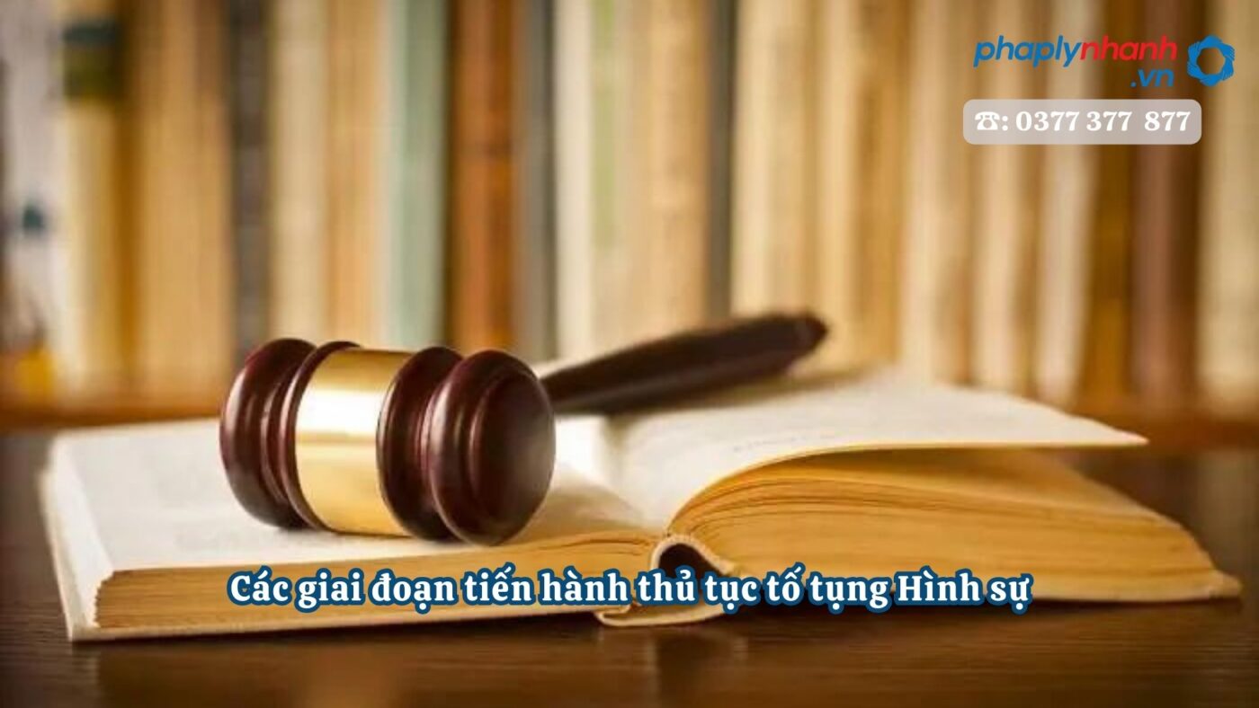 Các giai đoạn tiến hành thủ tục tố tụng Hình sự 18 Các giai đoạn tiến hành thủ tục tố tụng Hình sự - Tư vấn, hỗ trợ pháp lý nhanh