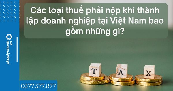 Các loại thuế phải nộp khi thành lập doanh nghiệp tại Việt Nam bao gồm những gì? 1 Các loại thuế phải nộp khi thành lập doanh nghiệp tại Việt Nam - tư vấn hỗ trợ pháp lý nhanh