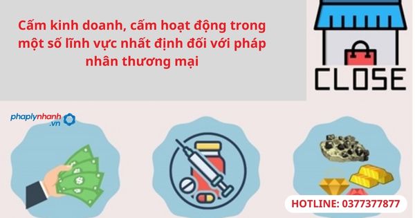 Cấm kinh doanh, cấm hoạt động trong một số lĩnh vực nhất định đối với pháp nhân thương mại 1 Cấm kinh doanh, cấm hoạt động trong một số lĩnh vực nhất định đối với pháp nhân thương mại