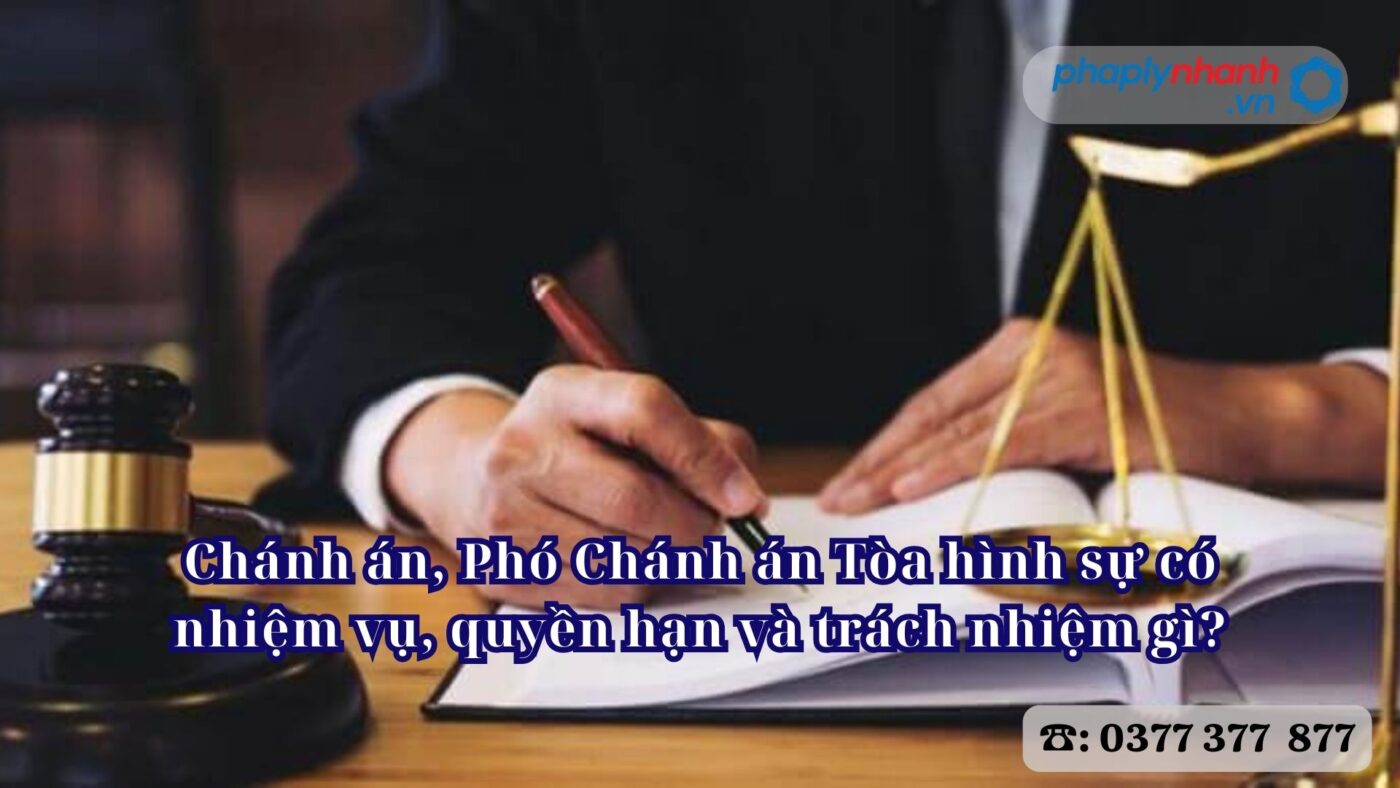 Chánh án, Phó Chánh án Tòa hình sự có nhiệm vụ, quyền hạn và trách nhiệm gì? 1 Chánh án, Phó Chánh án Tòa hình sự có nhiệm vụ, quyền hạn và trách nhiệm gì - Tư vấn, hỗ trợ pháp lý nhanh