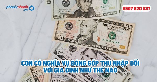 Con có nghĩa vụ đóng góp thu nhập đối với gia đình như thế nào? 1 Con có nghĩa vụ đóng góp thu nhập đối với gia đình như thế nào - Tư vấn, hỗ trợ pháp lý nhanh
