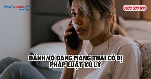 Đánh vợ đang mang thai có bị pháp luật xử lý? 1 Đánh vợ đang mang thai có bị pháp luật xử lý - Tư vấn, hỗ trợ pháp lý nhanh