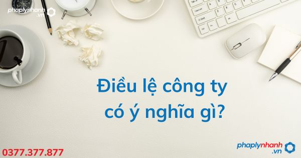 Điều lệ công ty có ý nghĩa gì - tư vấn hỗ trợ pháp lý nhanh