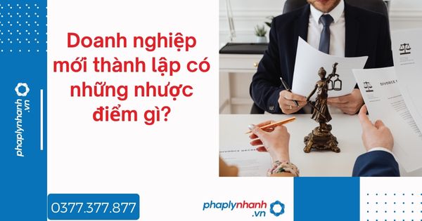 Doanh nghiệp mới thành lập có những nhược điểm gì? 1 Doanh nghiệp mới thành lập có những nhược điểm gì - tư vấn hỗ trợ pháp lý nhanh
