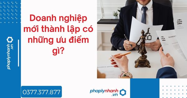 Doanh nghiệp mới thành lập có những ưu điểm gì? 1 Doanh nghiệp mới thành lập có những ưu điểm gì - tư vấn hỗ trợ pháp lý nhanh