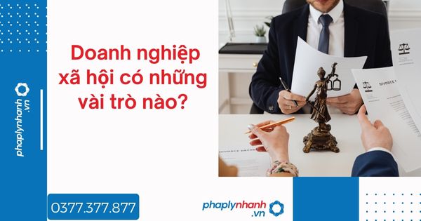 Doanh nghiệp xã hội có những vài trò nào? 1 Doanh nghiệp xã hội có những vài trò nào - tư vấn hỗ trợ pháp lý nhanh