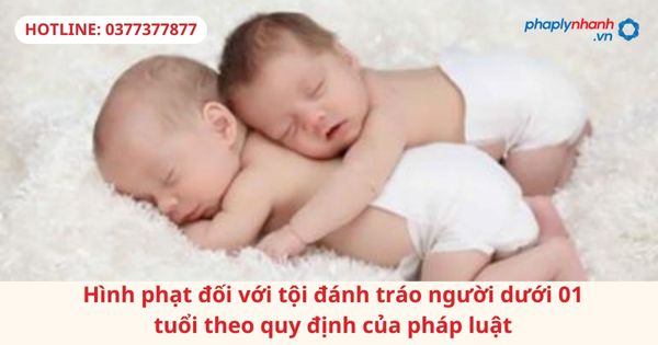 Hình phạt đối với tội đánh tráo người dưới 01 tuổi theo quy định của pháp luật 1 Hình phạt đối với tội đánh tráo người dưới 01 tuổi theo quy định của pháp luật