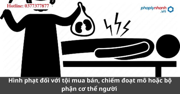 Hình phạt đối với tội mua bán, chiếm đoạt mô hoặc bộ phận cơ thể người