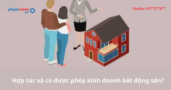 Hợp tác xã có được phép kinh doanh bất động sản-hỗ trợ tư vấn pháp lý