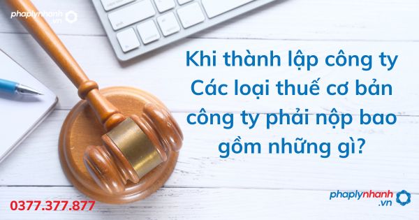 Khi thành lập công ty Các loại thuế cơ bản công ty phải nộp bao gồm những gì - tư vấn hỗ trợ pháp lý nhanh