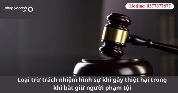 Loại trừ trách nhiệm hình sự khi gây thiệt hại trong khi bắt giữ người phạm tội