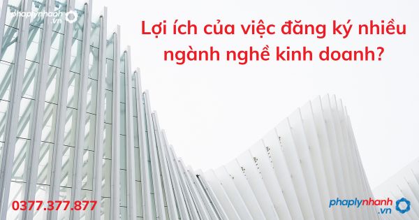 Lợi ích của việc đăng ký nhiều ngành nghề kinh doanh - tư vấn hỗ trợ pháp lý nhanh