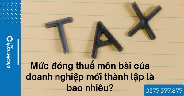 Mức đóng thuế môn bài của doanh nghiệp mới thành lập là bao nhiêu? 1 Mức đóng thuế môn bài của doanh nghiệp mới thành lập là bao nhiêu - tư vấn hỗ trợ pháp lý nhanh
