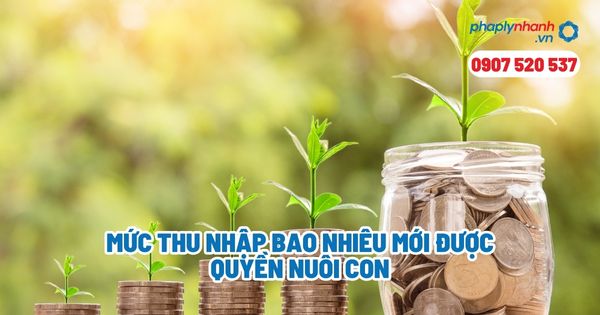 Mức thu nhập bao nhiêu mới được quyền nuôi con - Tư vấn, hỗ trợ pháp lý nhanh