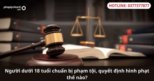 Người dưới 18 tuổi chuẩn bị phạm tội, quyết định hình phạt thế nào? 1 Người dưới 18 tuổi chuẩn bị phạm tội, quyết định hình phạt thế nào?
