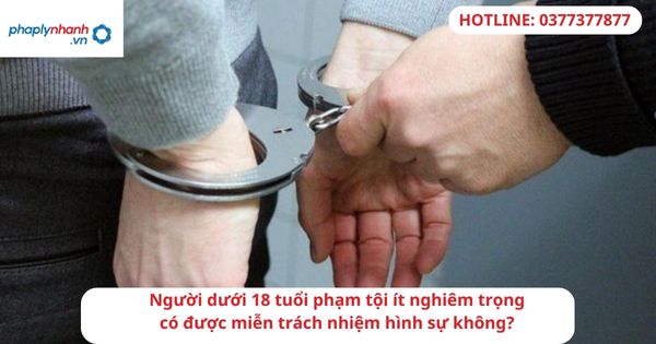 Người dưới 18 tuổi phạm tội ít nghiêm trọng có được miễn trách nhiệm hình sự không? 1 Người dưới 18 tuổi phạm tội ít nghiêm trọng có được miễn trách nhiệm hình sự không?