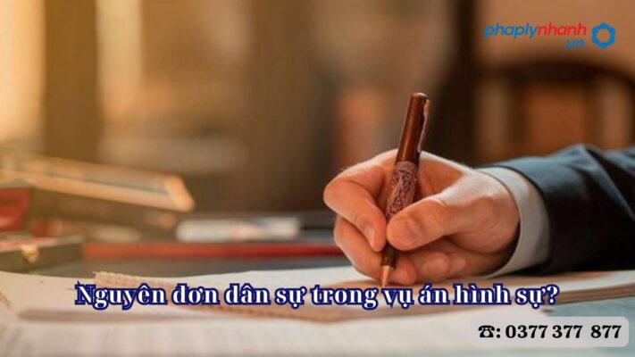 Nguyên đơn dân sự trong vụ án hình sự? 1 Nguyên đơn dân sự trong vụ án hình sự - Tư vấn, hỗ trợ pháp lý nhanh