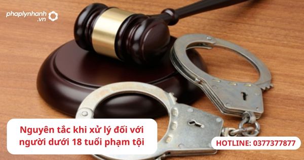 Nguyên tắc khi xử lý đối với người dưới 18 tuổi phạm tội 1 Nguyên tắc khi xử lý đối với người dưới 18 tuổi phạm tội