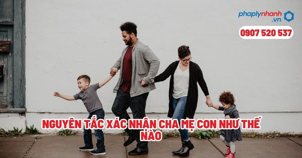 Nguyên tắc xác nhận cha mẹ con như thế nào? 1 Nguyên tắc xác nhận cha mẹ con như thế nào - Tư vấn, hỗ trợ pháp lý nhanh