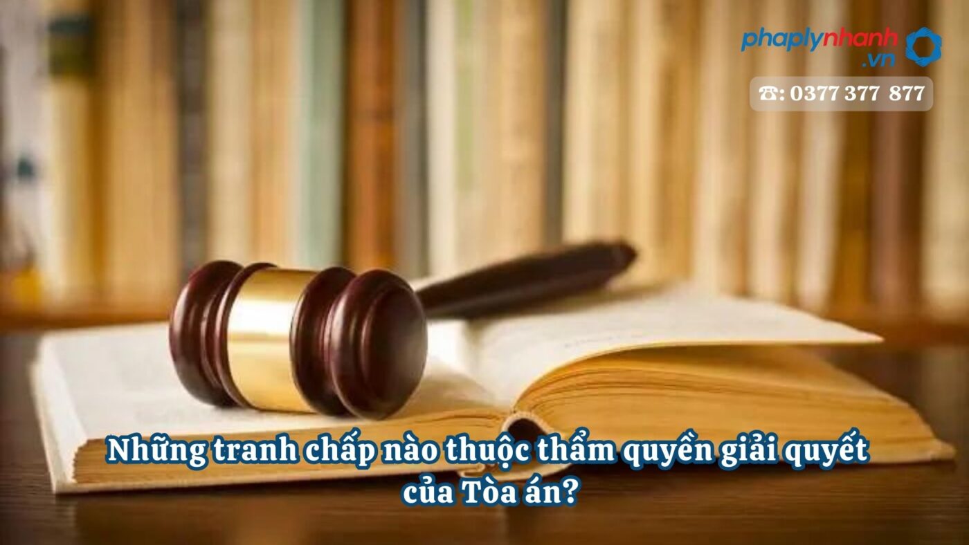 Những tranh chấp nào thuộc thẩm quyền giải quyết của Tòa án? 1 Những tranh chấp nào thuộc thẩm quyền giải quyết của Tòa án - Tư vấn, hỗ trợ pháp lý nhanh
