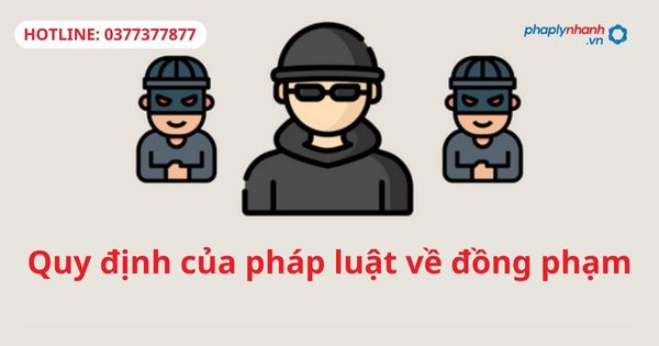 Quy định của pháp luật về đồng phạm 15 Quy định của pháp luật về đồng phạm-hỗ trợ tư vấn pháp lý