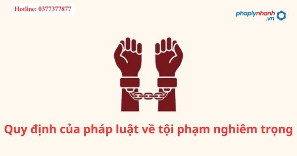 Quy định của pháp luật về tội phạm nghiêm trọng 11 Quy định của pháp luật về tội phạm nghiêm trọng-hỗ trợ tư vấn pháp lý