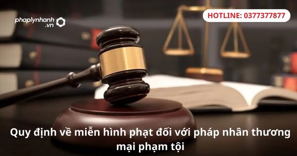 Quy định về miễn hình phạt đối với pháp nhân thương mại phạm tội 1 Quy định về miễn hình phạt đối với pháp nhân thương mại phạm tội