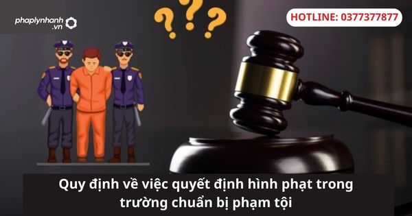 Quy định về việc quyết định hình phạt trong trường chuẩn bị phạm tội 8 Quy định về việc quyết định hình phạt trong trường chuẩn bị phạm tội-hỗ trợ tư vấn pháp lý