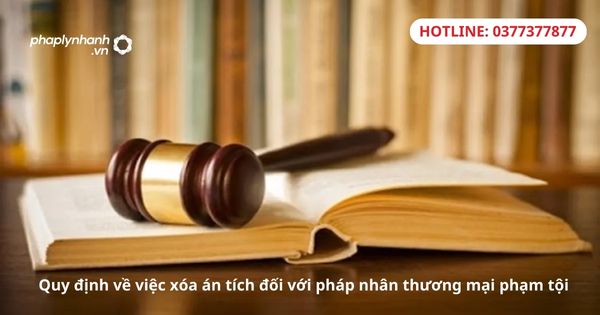 Quy định về việc xóa án tích đối với pháp nhân thương mại phạm tội 1 Quy định về việc xóa án tích đối với pháp nhân thương mại phạm tội