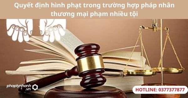 Quyết định hình phạt trong trường hợp pháp nhân thương mại phạm nhiều tội 1 Quyết định hình phạt trong trường hợp pháp nhân thương mại phạm nhiều tội